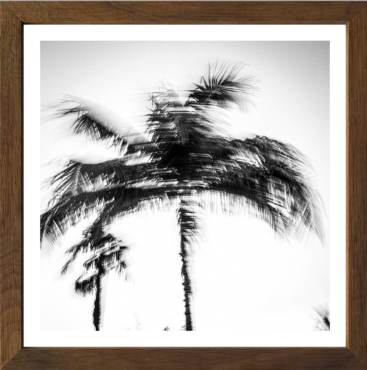 Palm motion