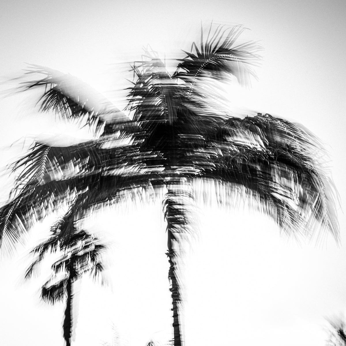 Palm motion