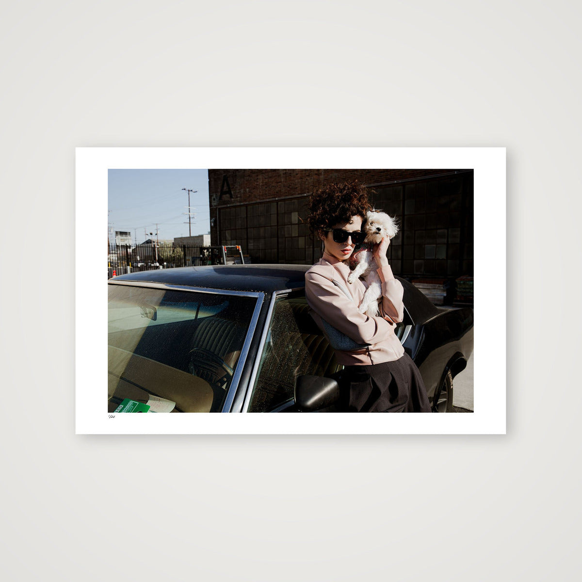 Companions — 60×40cm, 24×16" Print only