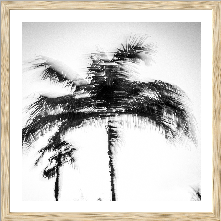 Palm motion