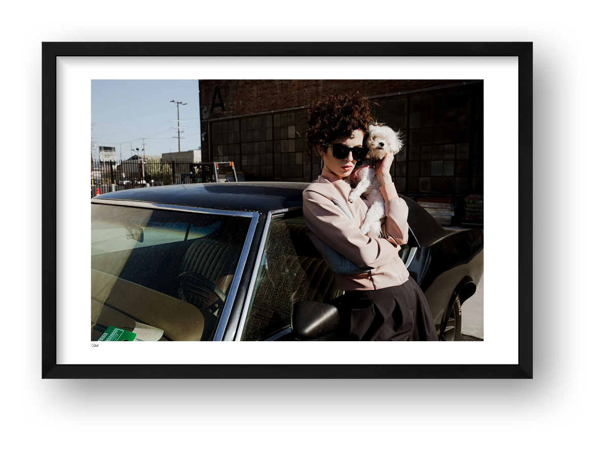 Companions — framed