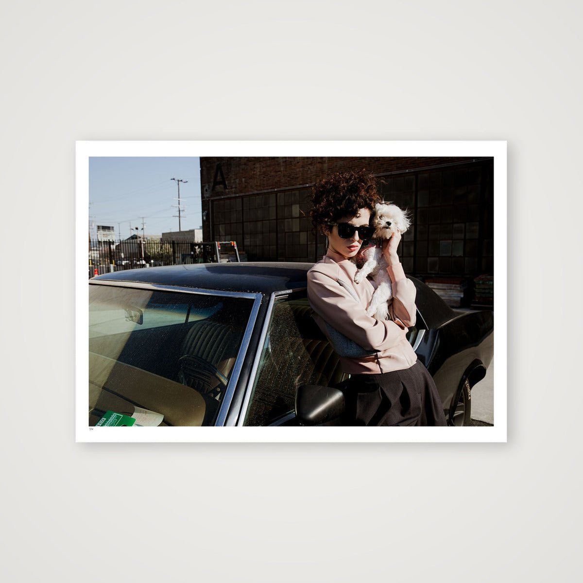 Companions — 100×70cm, 39×28" Print only