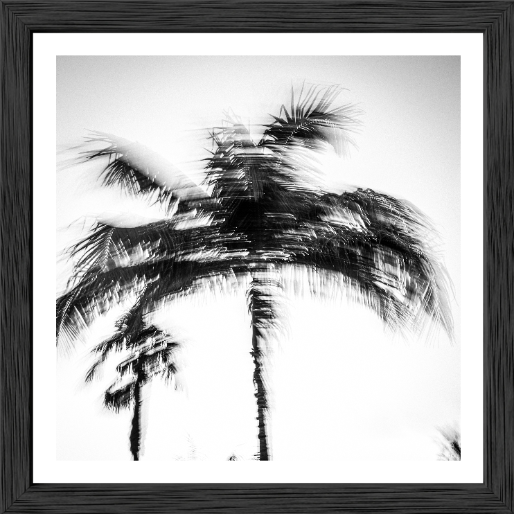 Palm motion