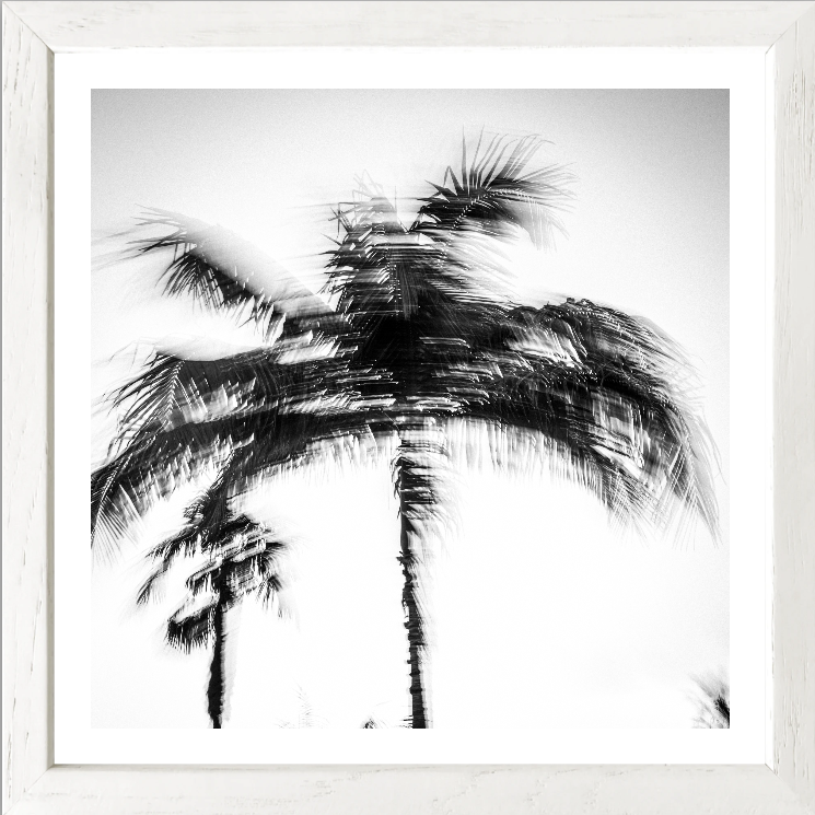 Palm motion