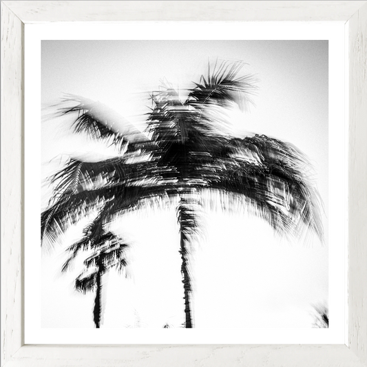 Palm motion