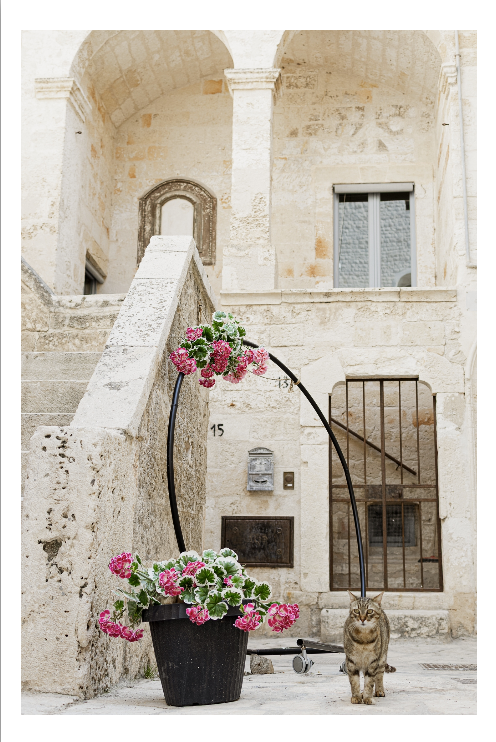 Polignano A Mare